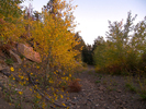 photo thumbnail #7