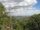 photo thumbnail #3