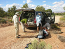photo thumbnail #8