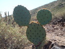 photo thumbnail #3
