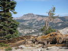 photo thumbnail #6