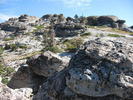 photo thumbnail #7