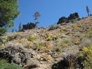photo thumbnail #12