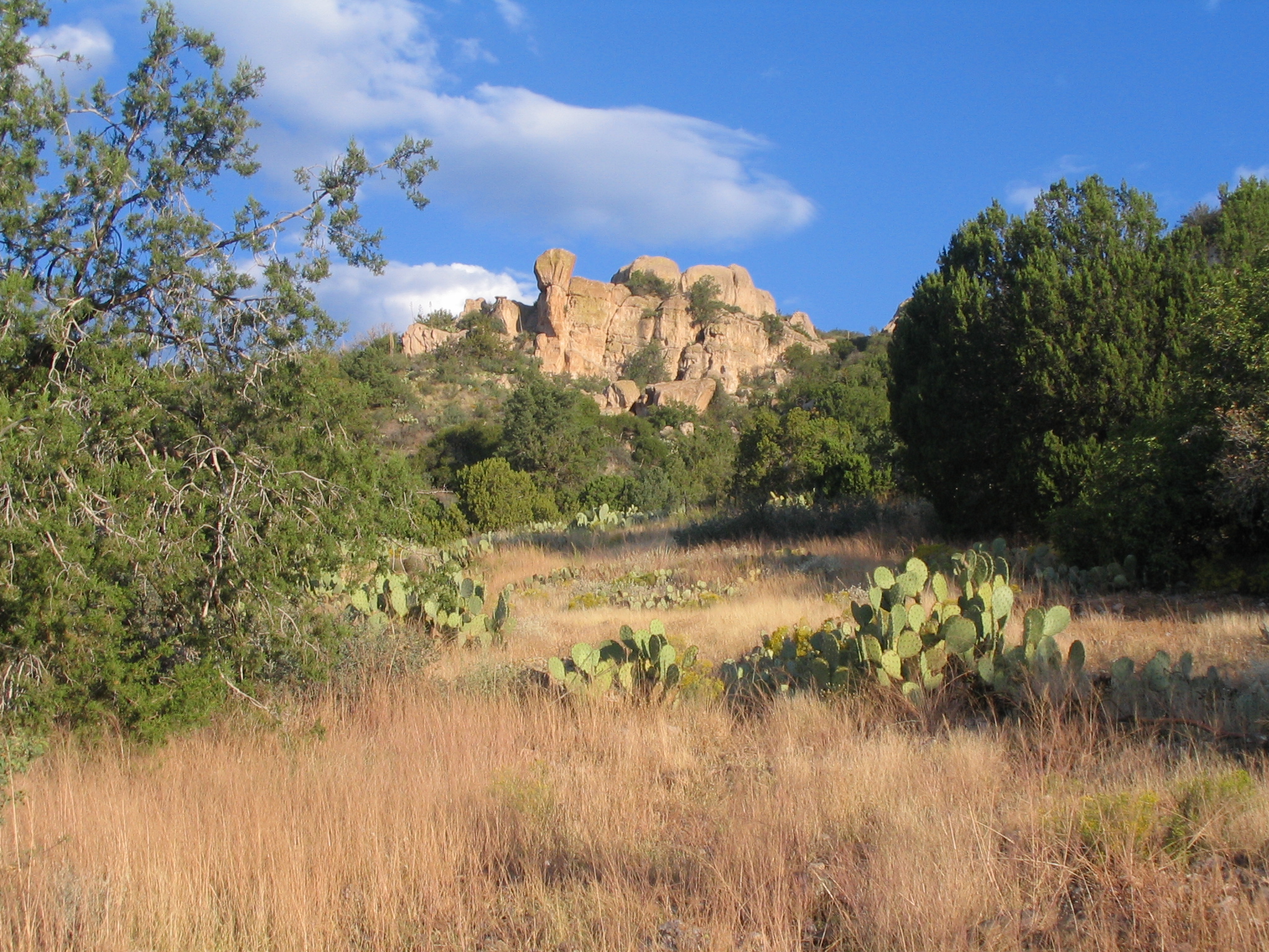 Sunflower Trail 344, AZ HikeArizona