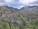 photo thumbnail #9