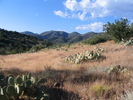 photo thumbnail #3