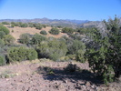 photo thumbnail #6