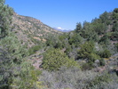 photo thumbnail #12