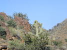 photo thumbnail #3