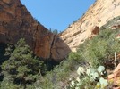 photo thumbnail #13