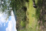 photo thumbnail #2