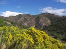 photo thumbnail #1