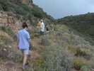 photo thumbnail #8