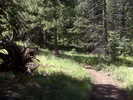 photo thumbnail #4