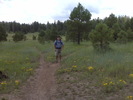 photo thumbnail #7
