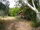 photo thumbnail #1