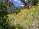 photo thumbnail #11