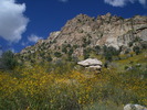 photo thumbnail #12