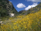 photo thumbnail #13