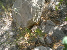 photo thumbnail #14