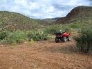 photo thumbnail #1