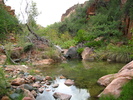photo thumbnail #8