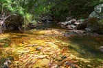 photo thumbnail #13