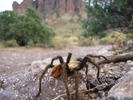 photo thumbnail #2