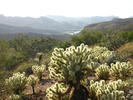 photo thumbnail #8