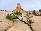 photo thumbnail #8