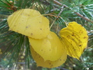 photo thumbnail #4