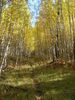 photo thumbnail #9