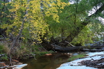 photo thumbnail #3