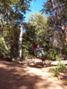 photo thumbnail #10