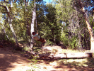 photo thumbnail #11