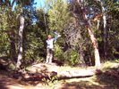 photo thumbnail #12