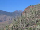 photo thumbnail #5