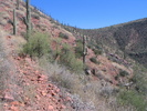 photo thumbnail #6
