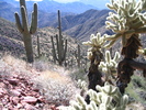 photo thumbnail #8