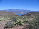photo thumbnail #9
