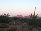photo thumbnail #1