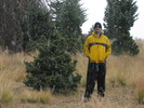 photo thumbnail #2