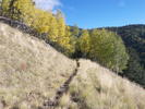 photo thumbnail #2