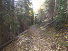 photo thumbnail #5