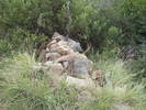 photo thumbnail #1
