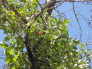 photo thumbnail #5