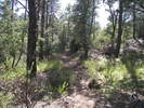 photo thumbnail #8