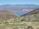 photo thumbnail #3