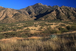 photo thumbnail #6