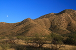 photo thumbnail #7